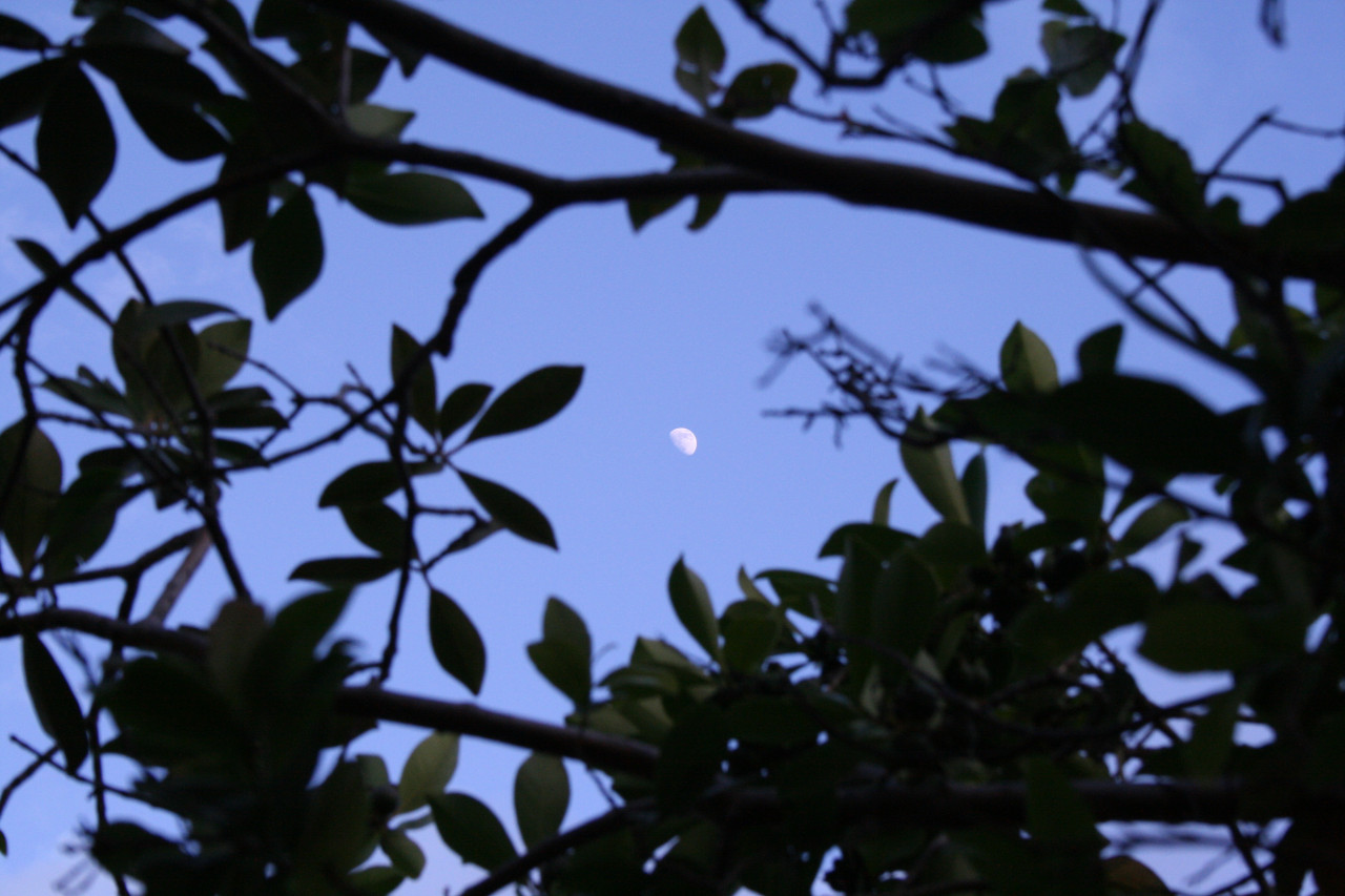 IMG_8840.JPG