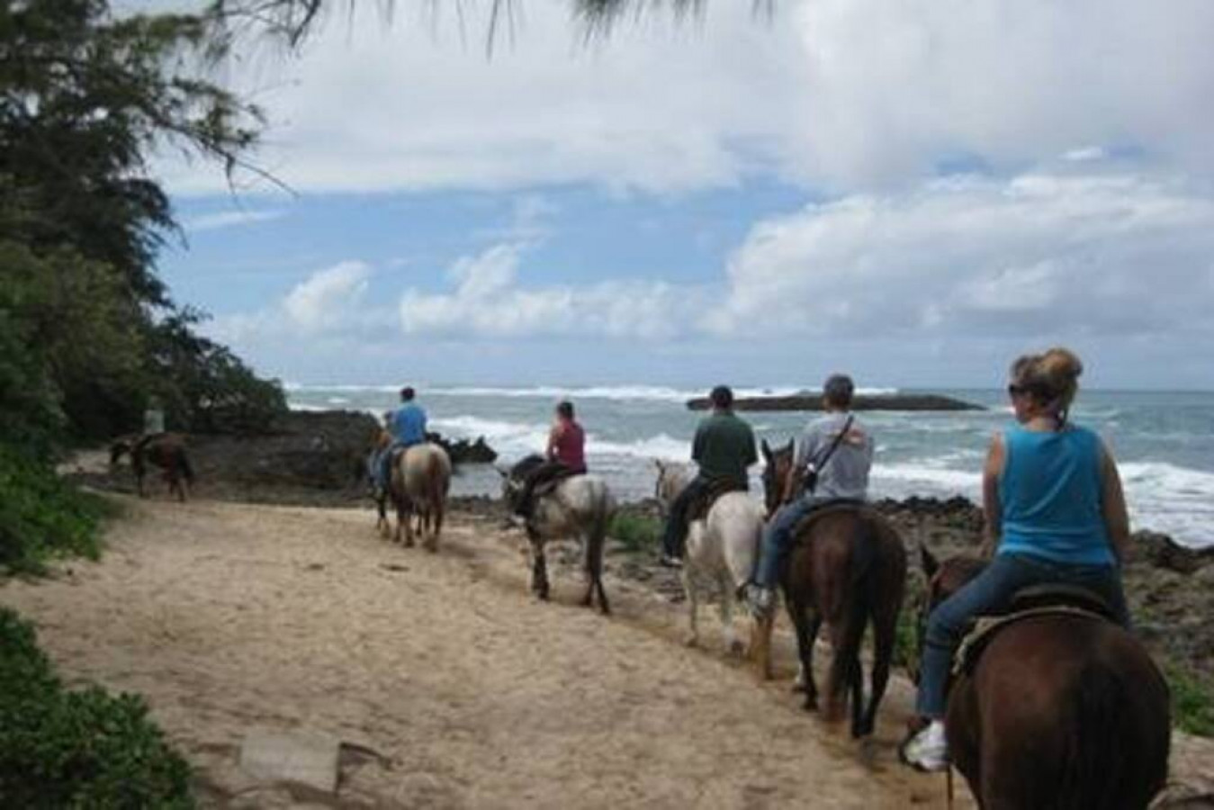Horse back riding at Turtle Bay