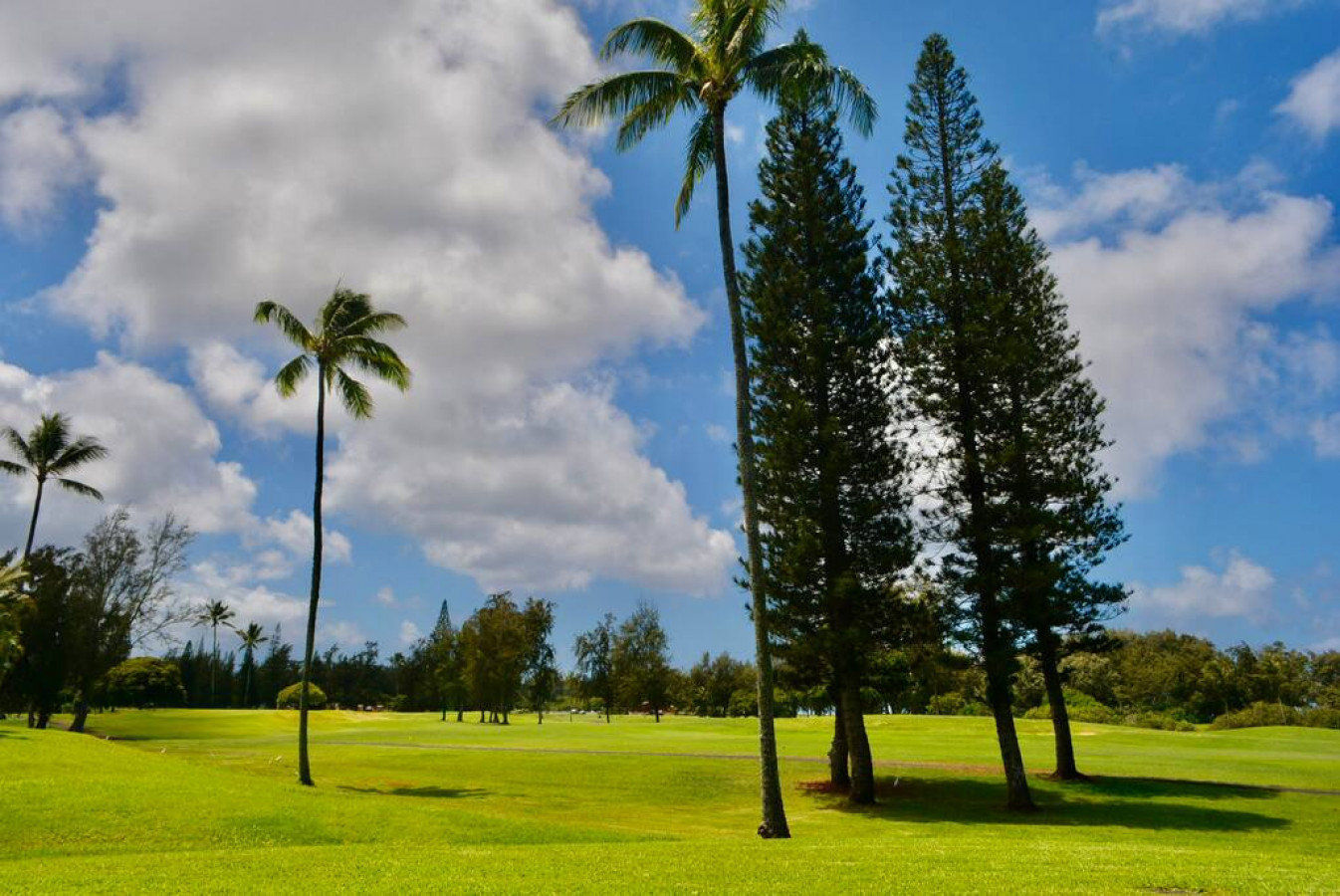 View from lanai, Fazio golf course