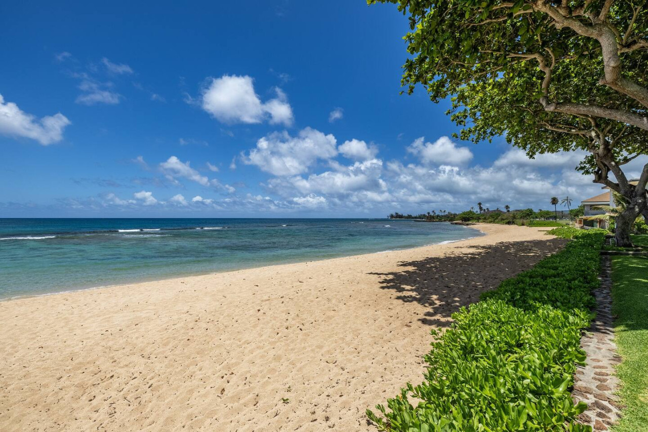 Private Beachfront Retreat in Haleiwa photo 13