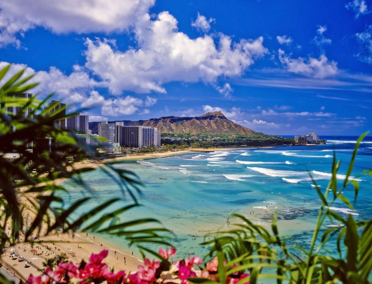 Cozy Room in Heart of Waikiki photo 33
