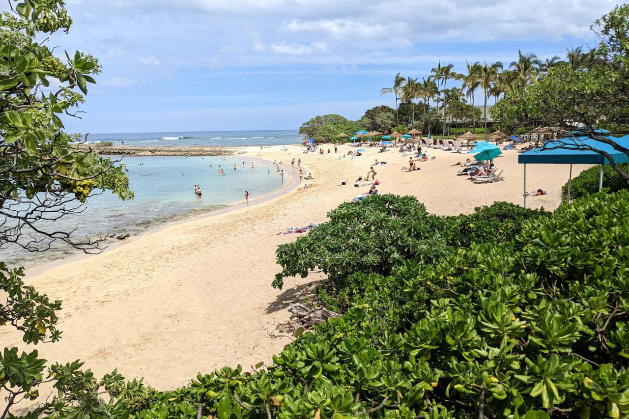 Ground-Floor Condo Near Turtle Bay Beach photo 31