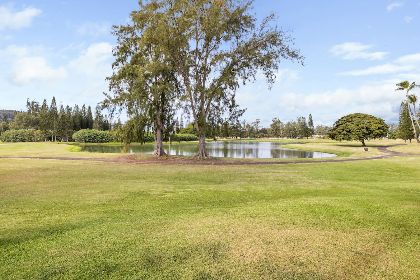 Sea Breeze Retreat at Turtle Bay photo 25