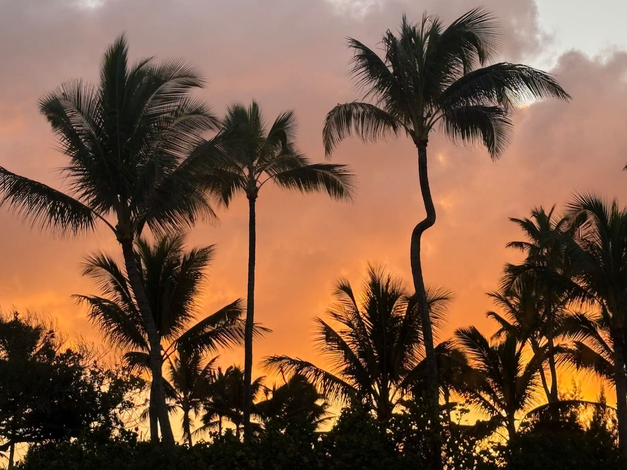 Sea Breeze Retreat at Turtle Bay photo 31