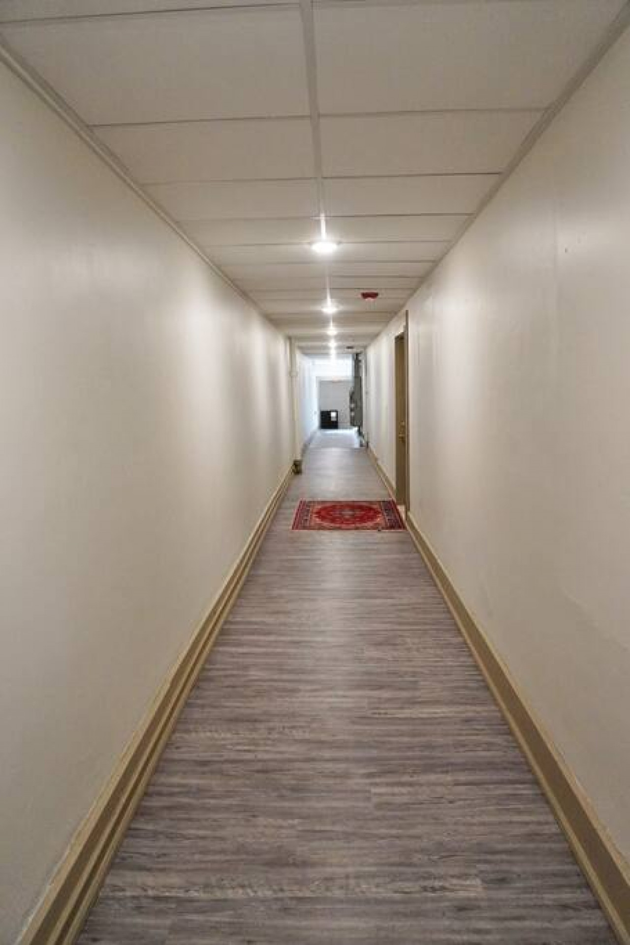 Shopping District Apt | Heart of Historic Downtown