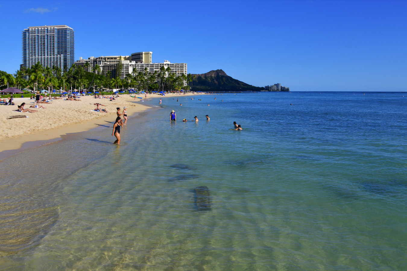 Island-Inspired Studio | Spacious, Clean & Comfortable Stay | Photo 34