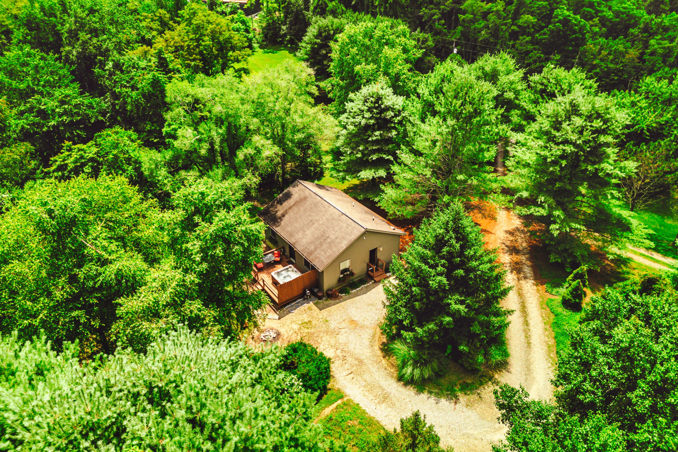 The Patriot — Private forest cabin with hot tub near Ash Cave