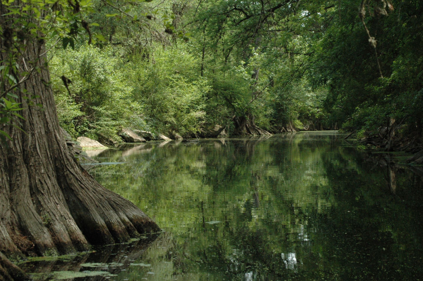 Near River~Downtown Boerne~Walkable~Games