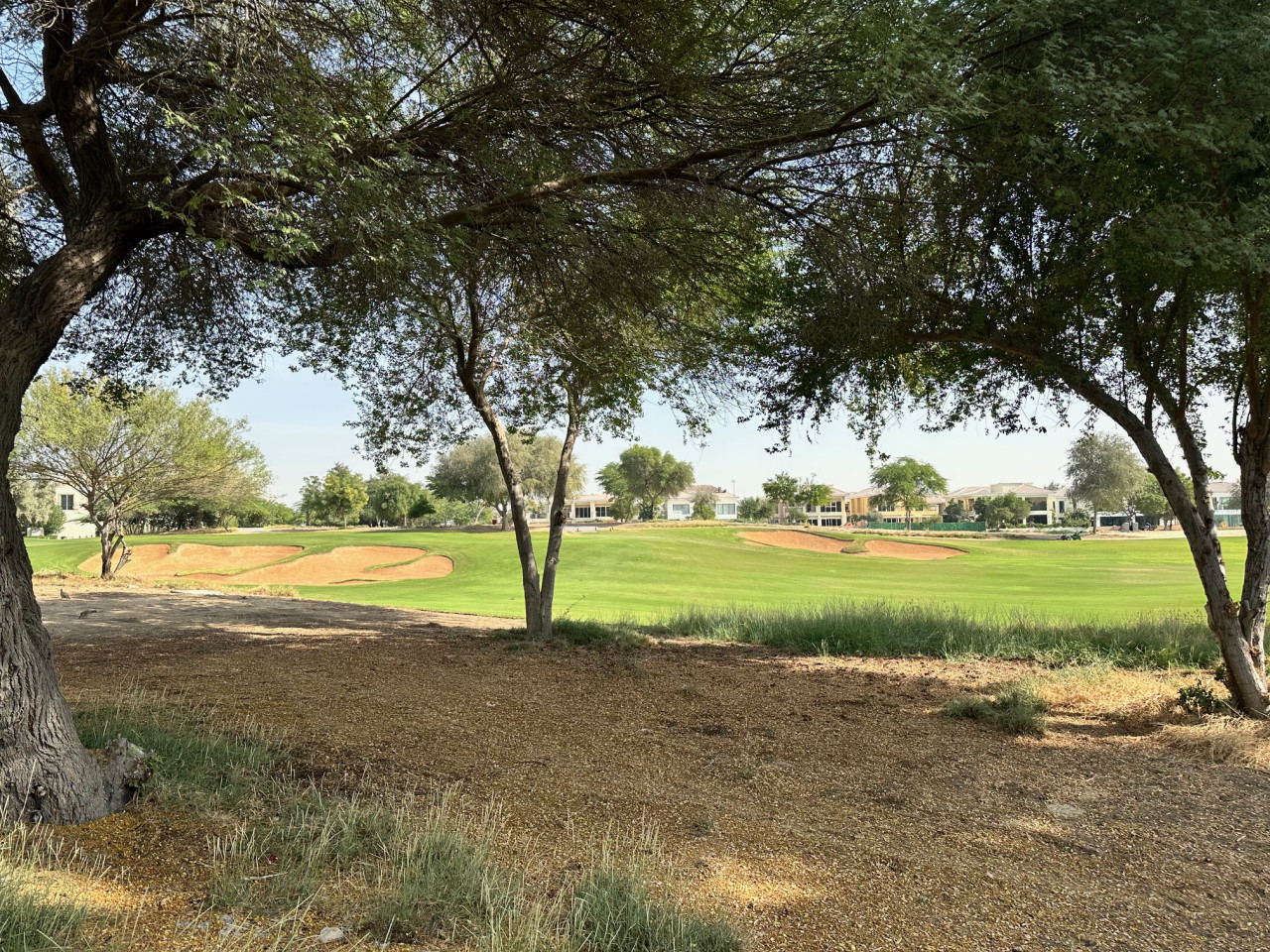4 Beds Townhouse in Redwood, Jumeirah Golf Estates — image 36 of 41