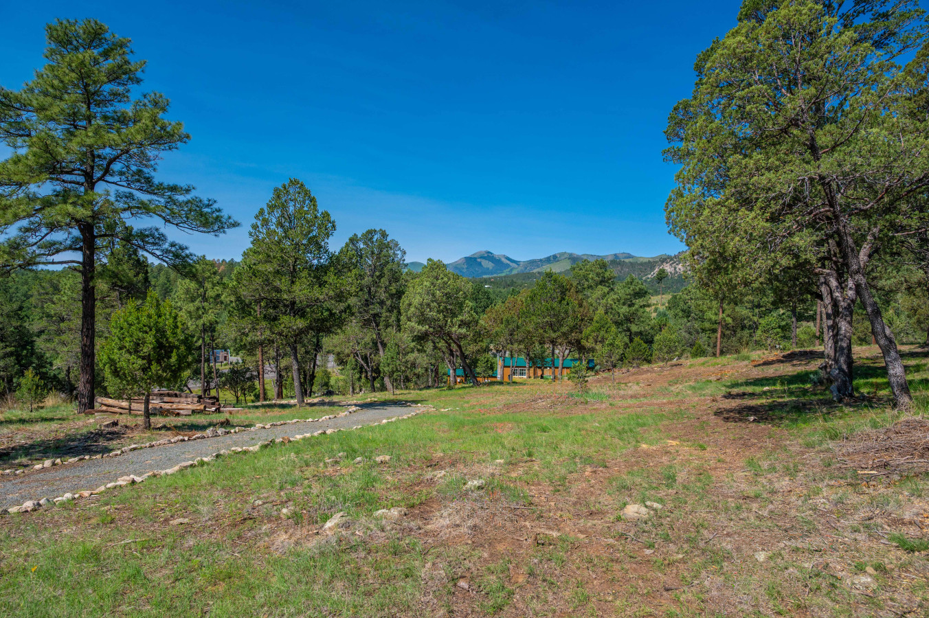 Mt. Ridge Retreat 5