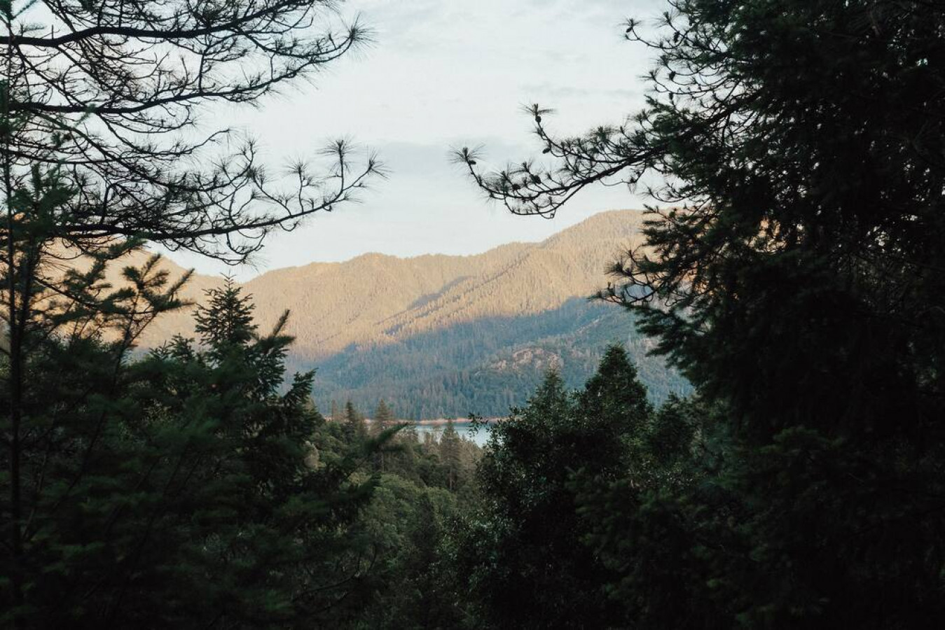 Serene A-Frame Escape Overlooking Shasta Lake 3