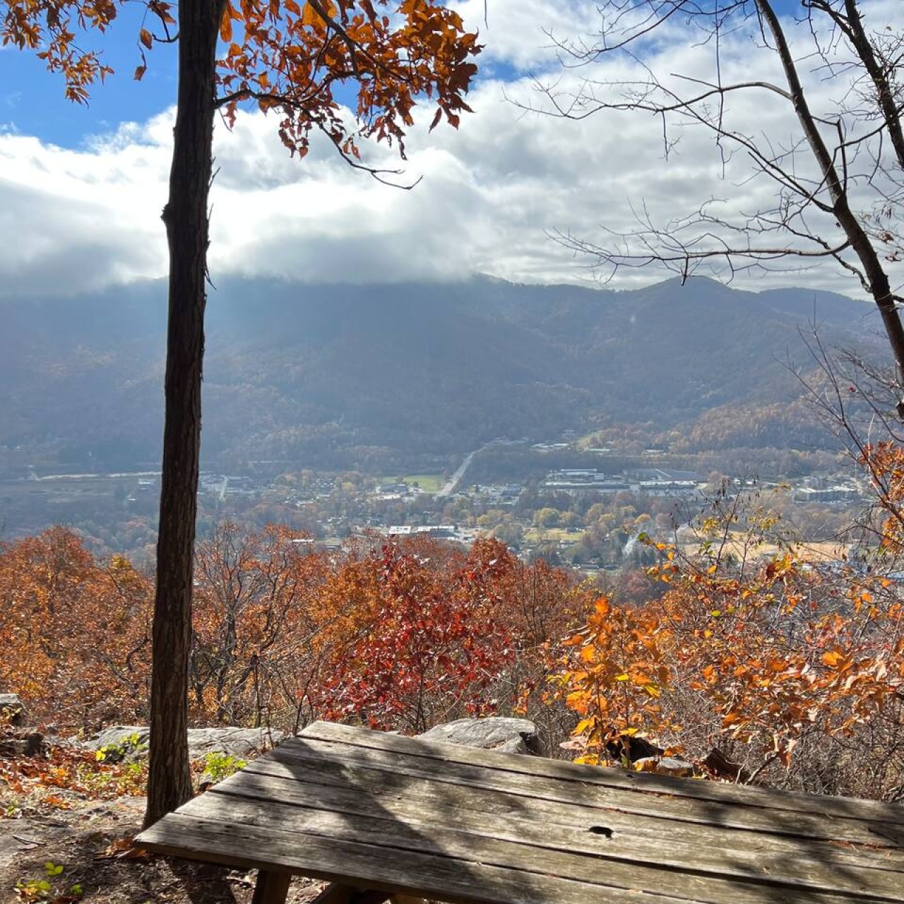 Take a 2 min stroll and enjoy a meal or drink on the picnic table!