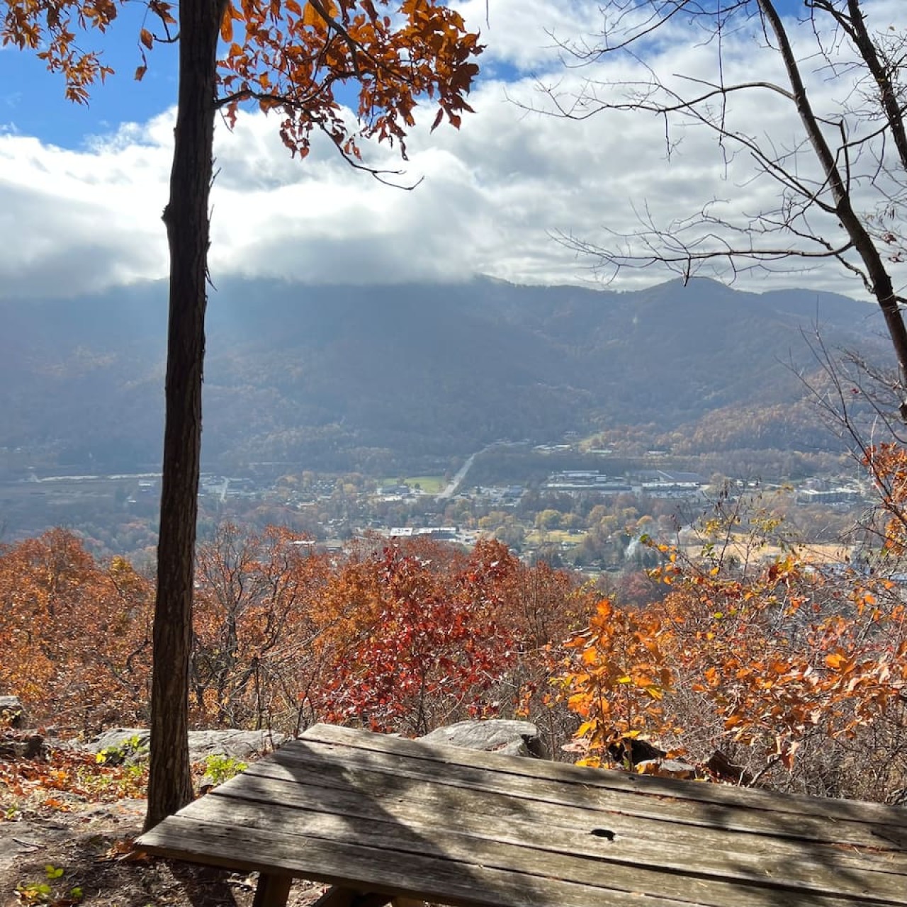 Wander 2 minutes to the south edge of the property to find a lookout over the town of Swannanoa and a picnic table. Supplies for a picnic are provided!