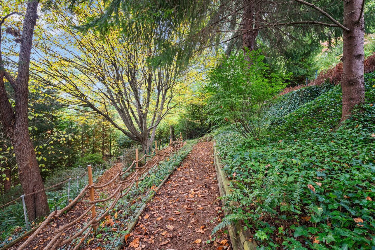 Walk around our woodland trail and be immersed in nature’s beauty
