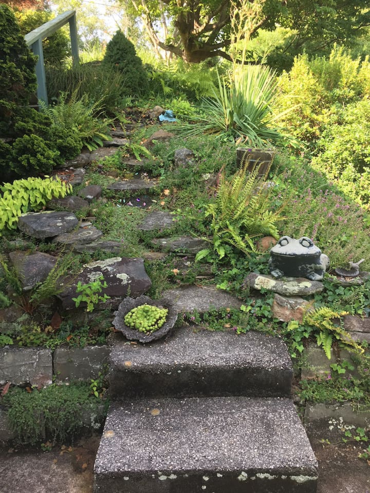 Secret garden
