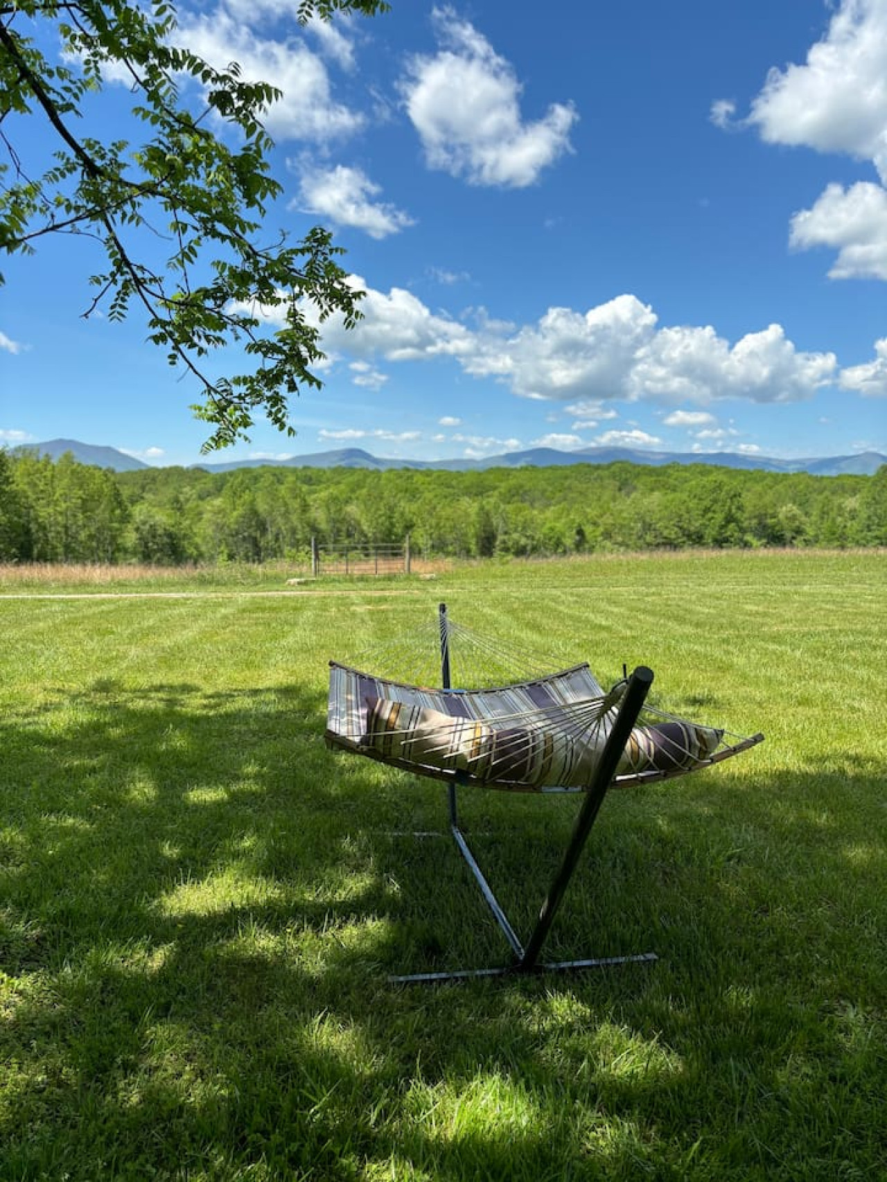 Our spacious backyard