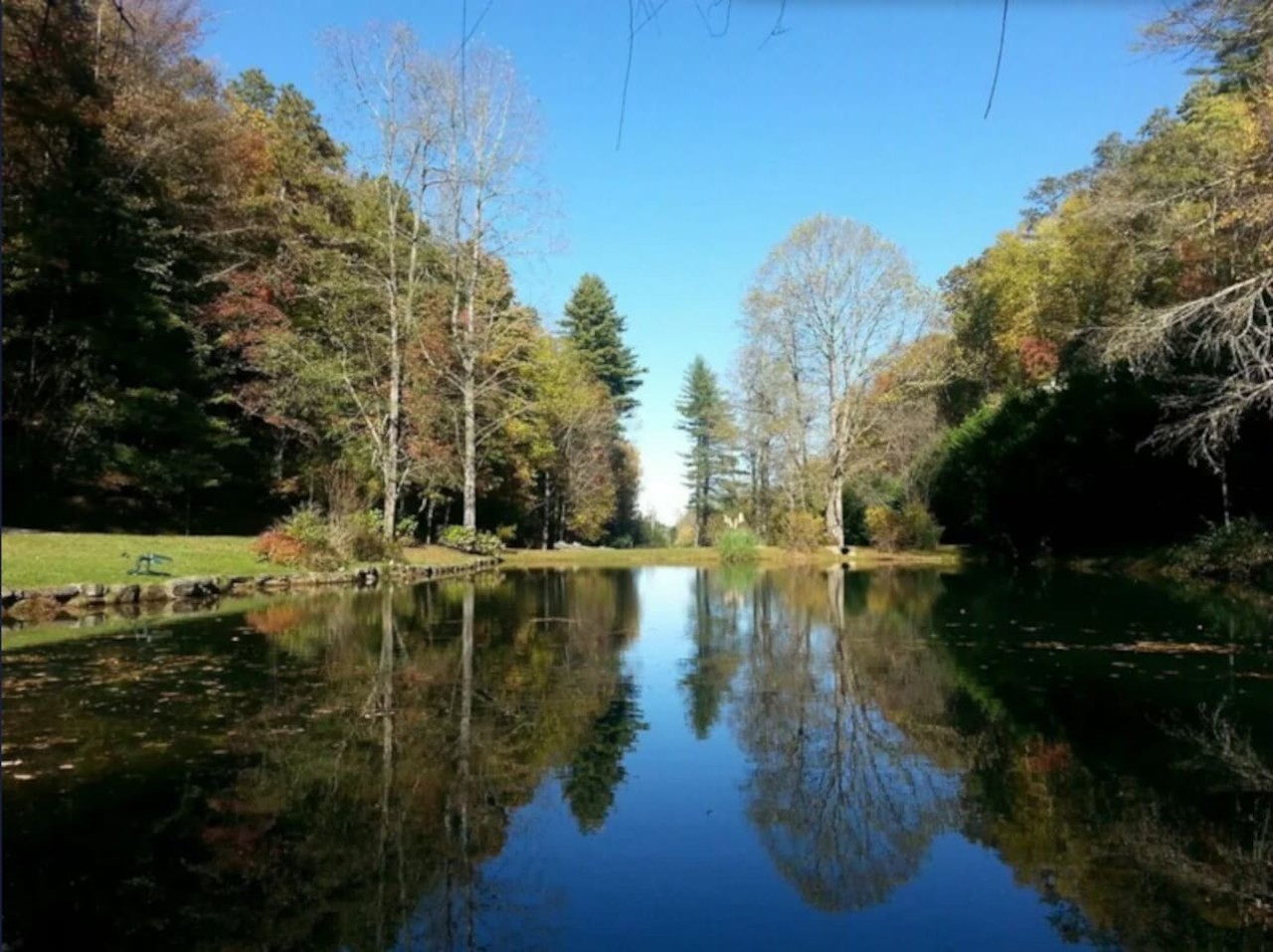 Serene Cabin Overlooking Pond on 66 Acres photo 3