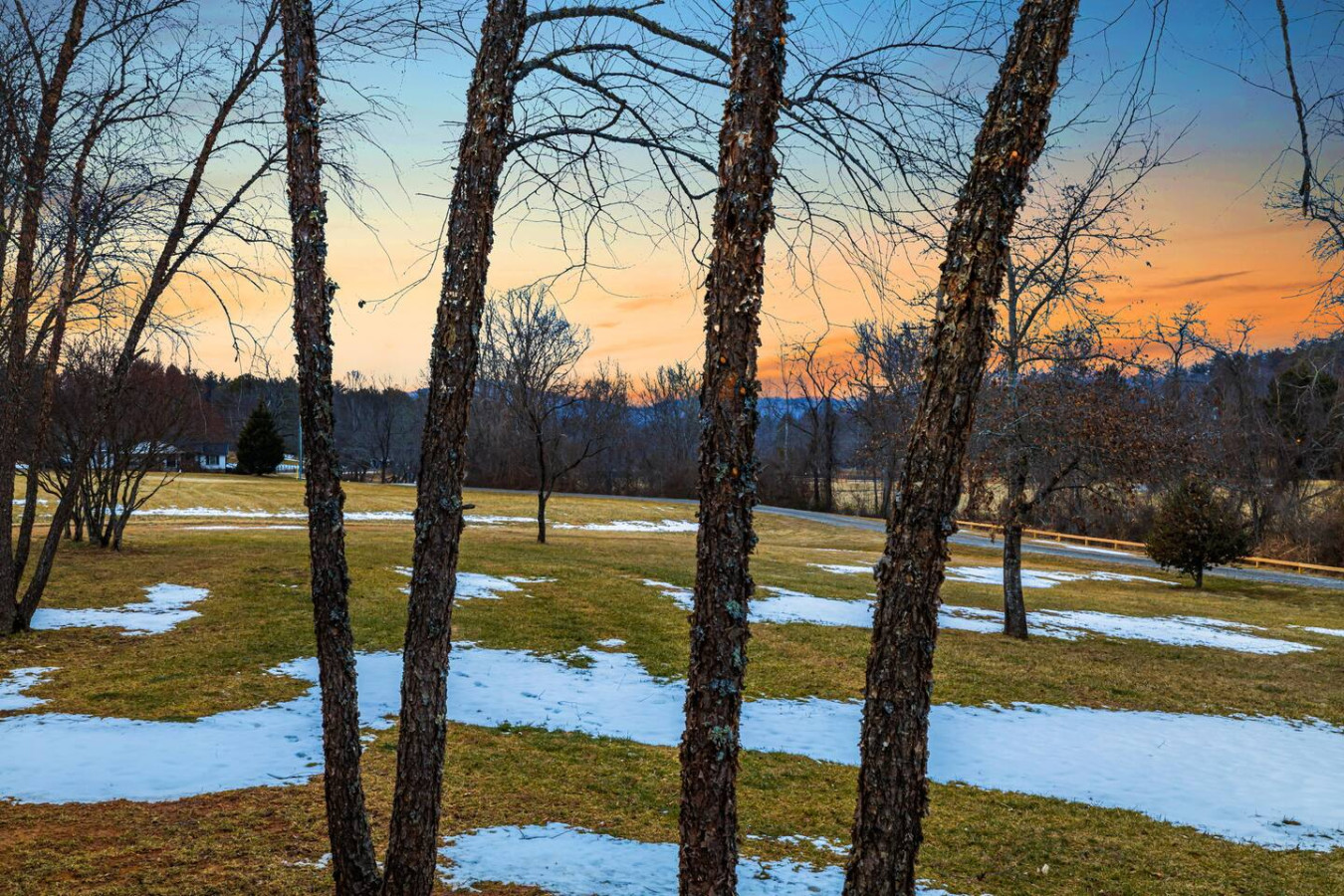 Serene Home on Horse Farm | Unique Views & Nature photo 5