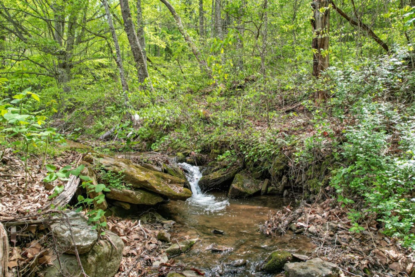 10 min to Asheville | Creekside, Fire Table, Games photo 5
