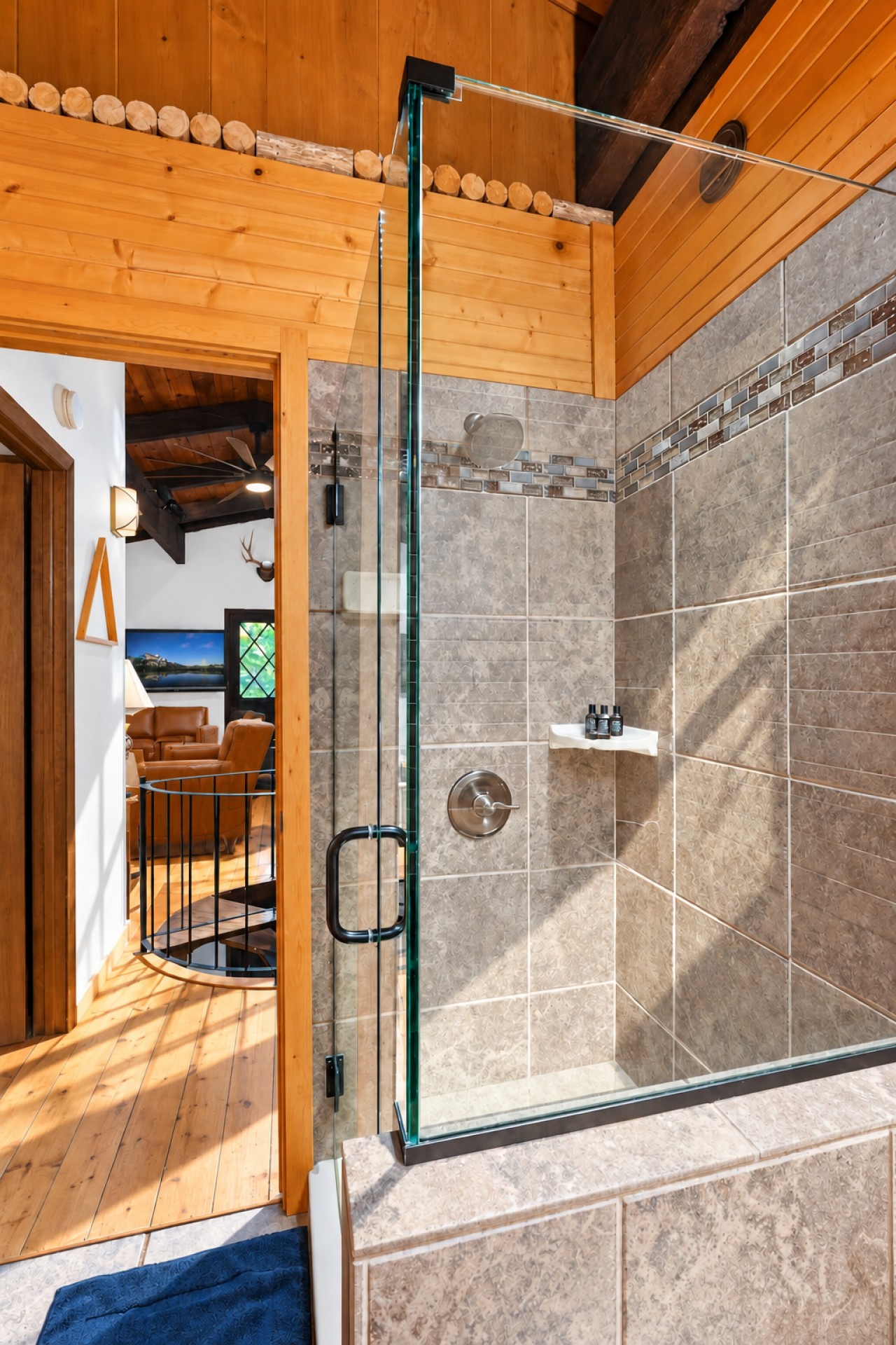 Chalet Getaway: Tiled glass shower