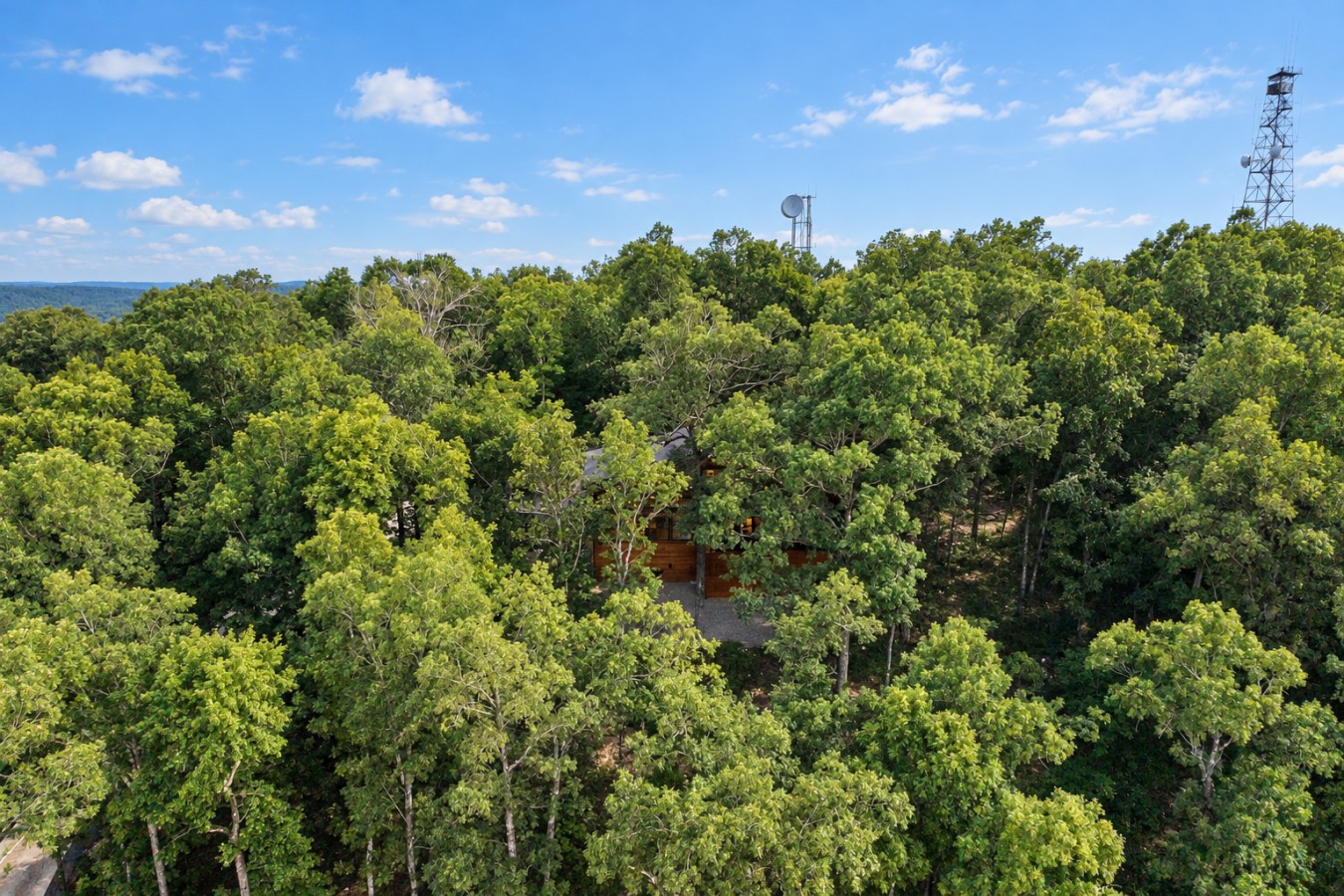 Sky High: Aerial views of the woods