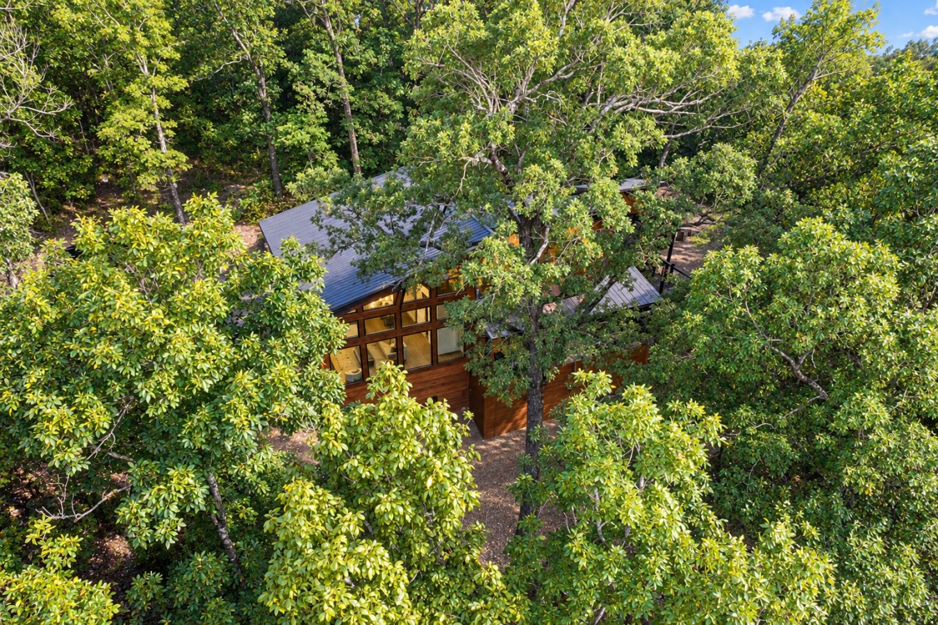 Sky High: Cabin among the trees