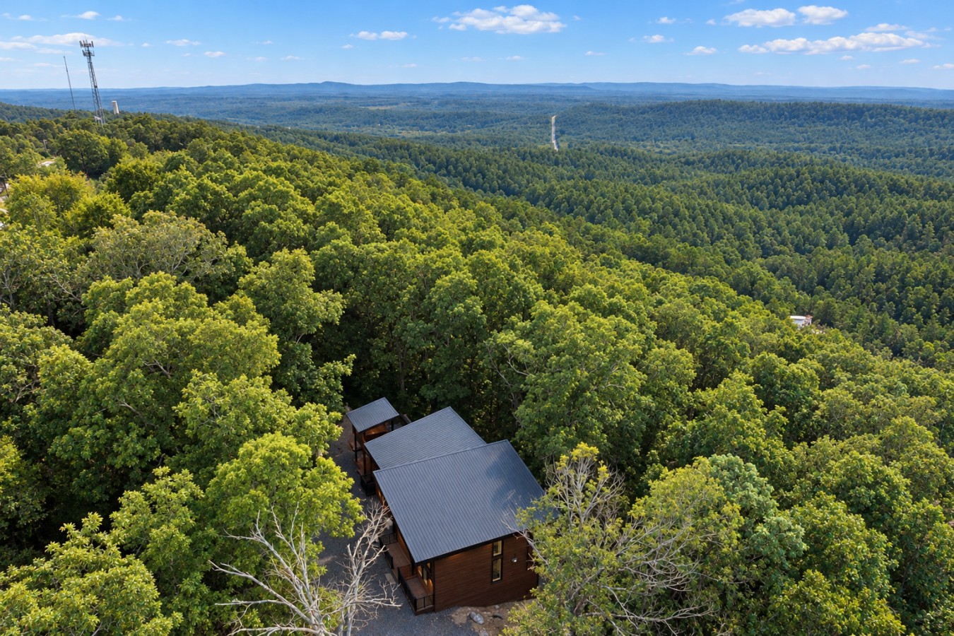 Sky High: Aerial view of the cabin and woods