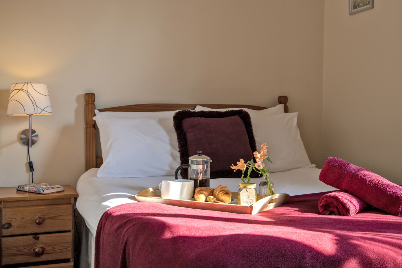 Zoe's Cottage - 7 mins drive to Alton + Alpacas! - Photo 4