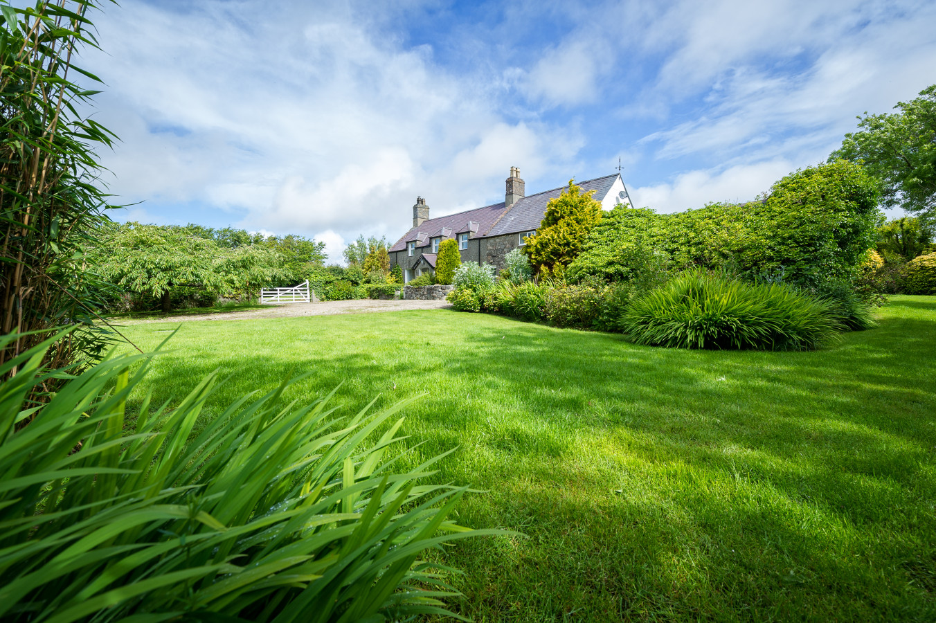 Plas Newydd with Swimming Pool - Photo 4