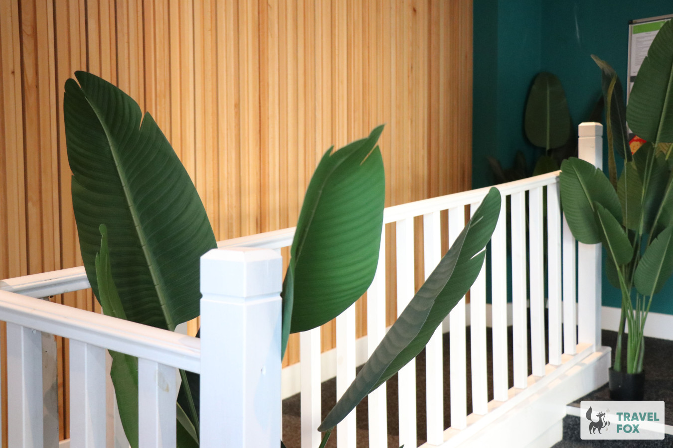 Dojo House - Studio 5 - Photo 5