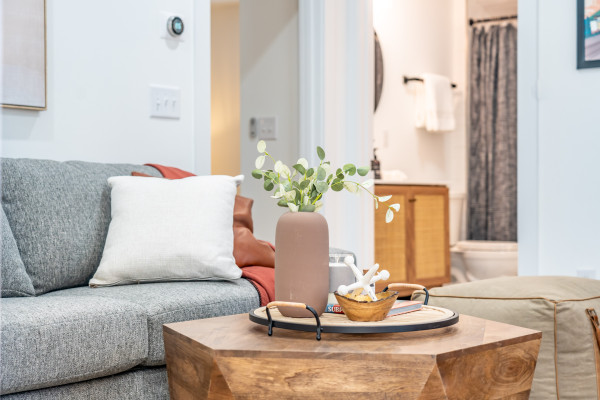 The Shire 255 B - Sienna