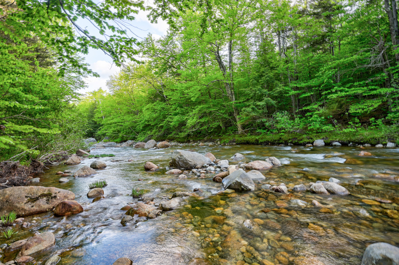 The Ellis River, steps from the house, provides beautiful walks, ambiance and swimming in the watering holes