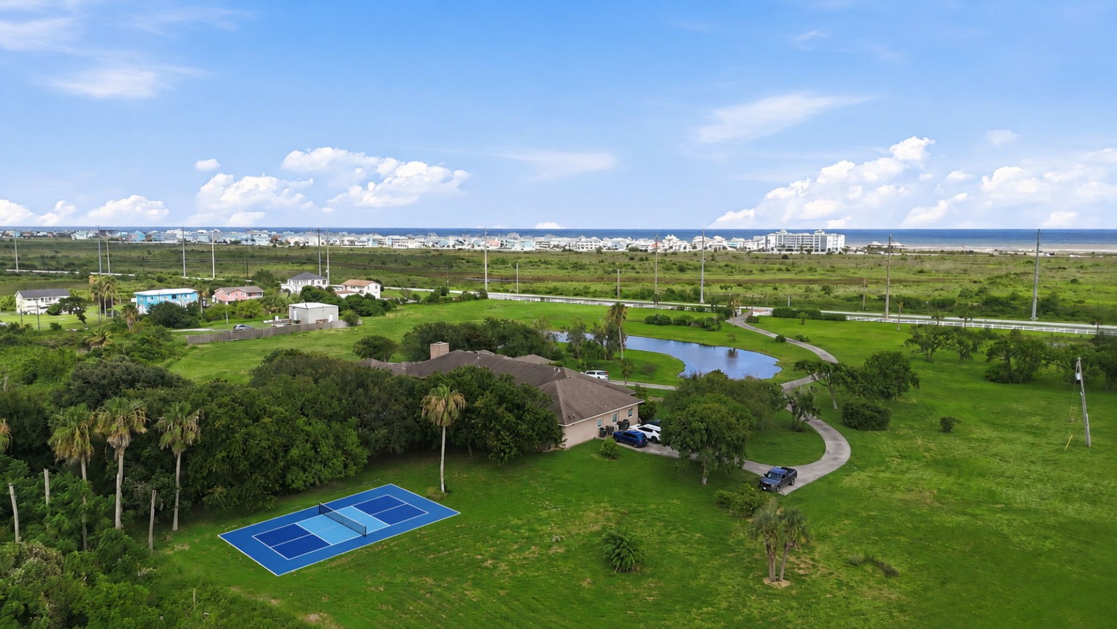 Bring your paddles & get ready to play