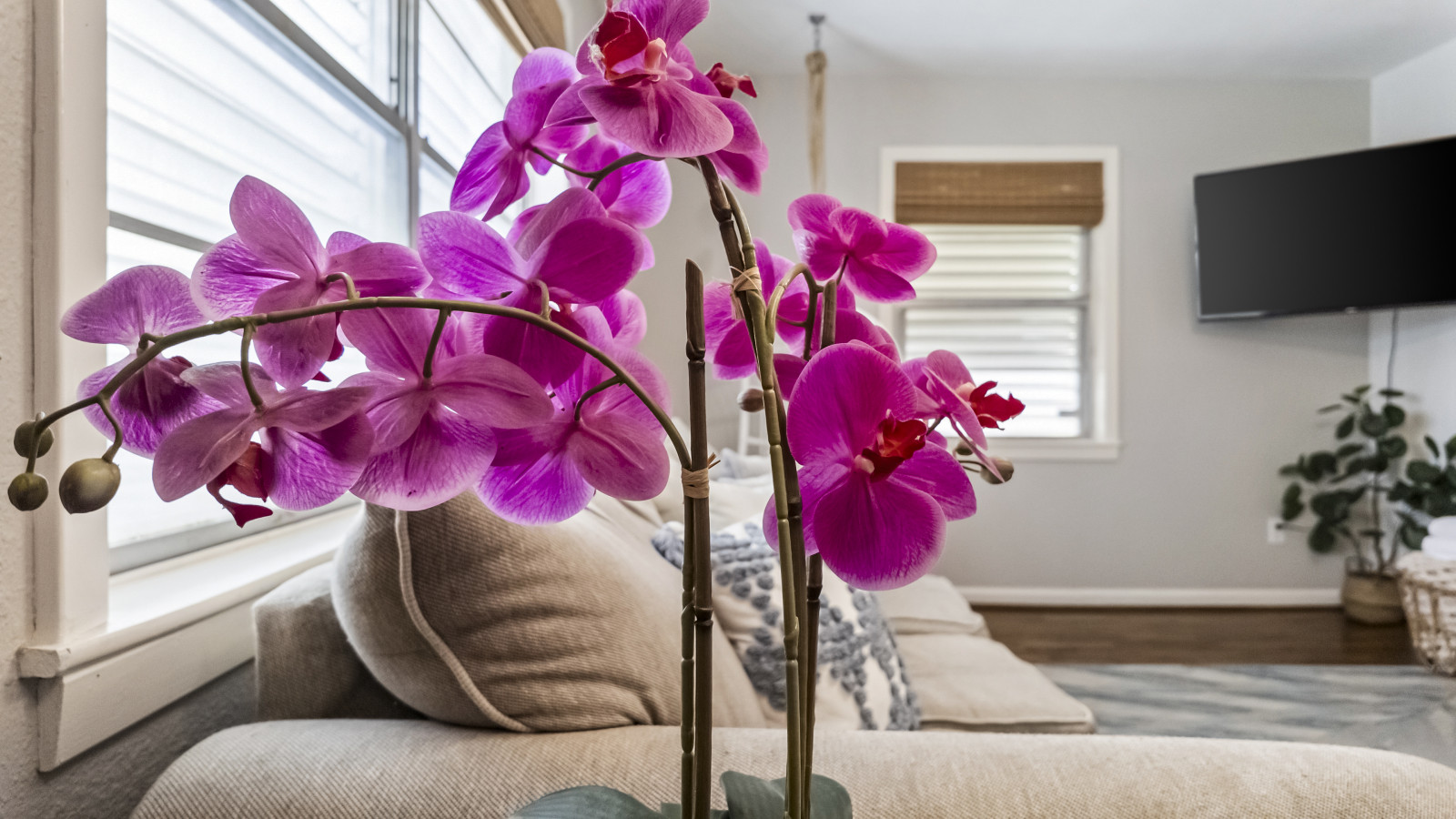 Enjoy the little touches that make your stay even better