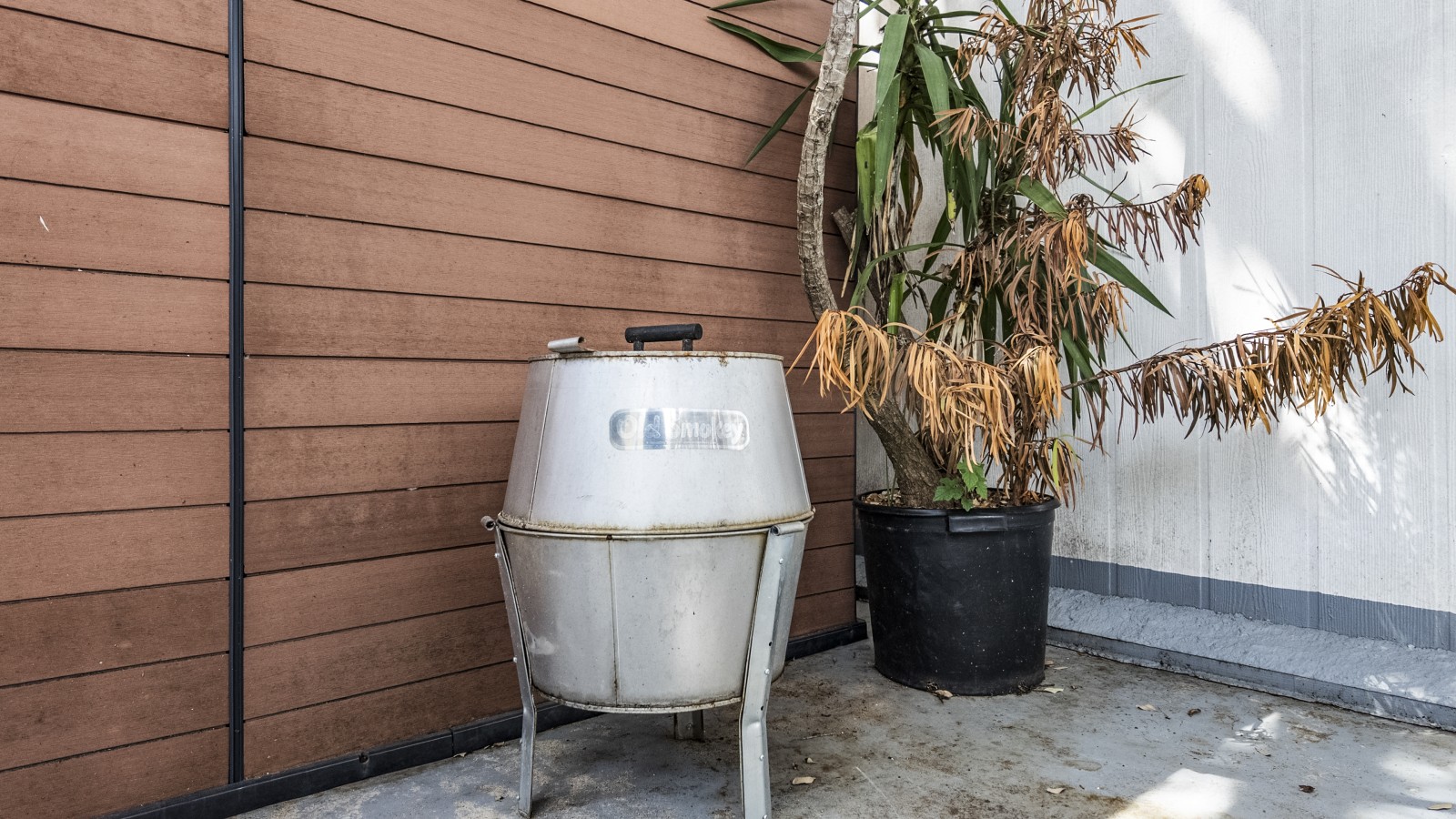 Fire up the grill for a backyard cookout