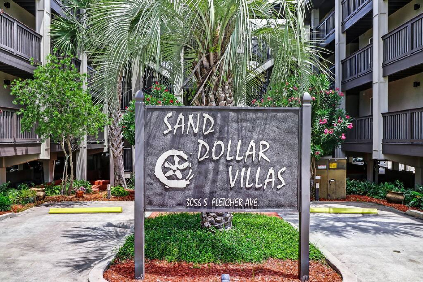 Oceanview Sand Dollar photo 33