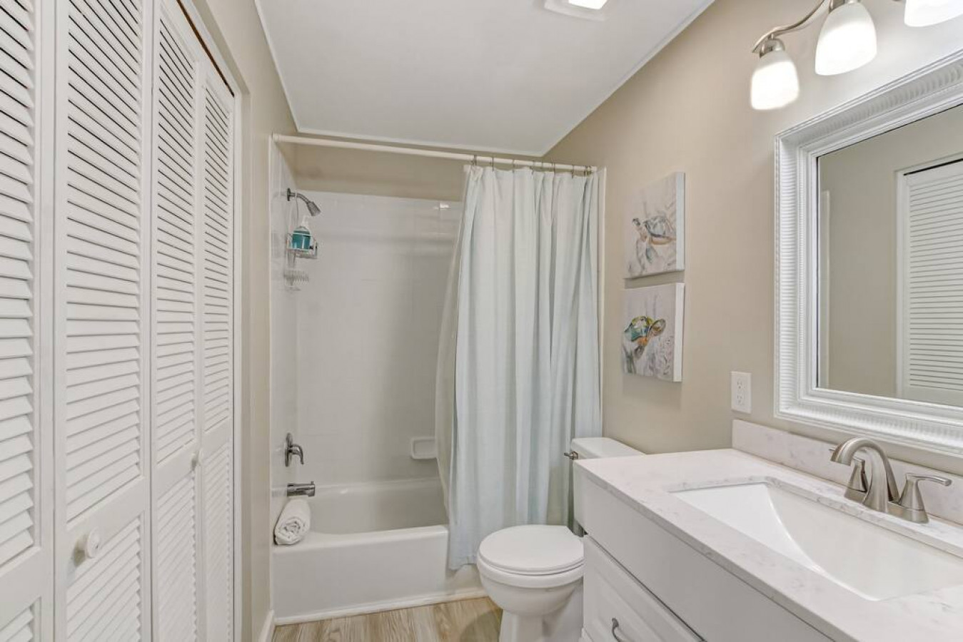 Oceanview Sand Dollar photo 22