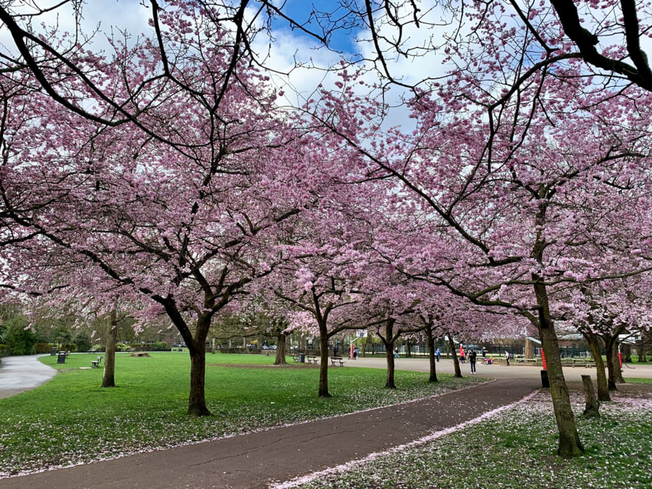 Next to Hammersmith Apollo + Tube | Top Location in Peabody Estate, 54 Fulham Palace Road, London W6 9PS, UK - Property image 33 - VivreStays