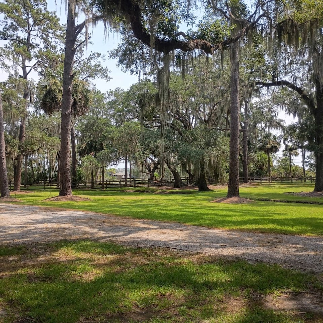 Relax on Isle of Hope | 30+ Day Executive Retreat