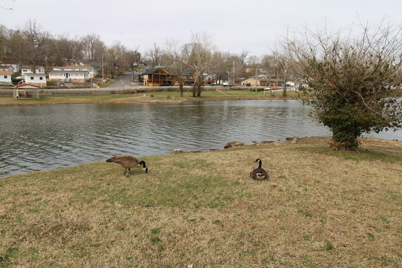 Idlewild At Duck Harbor Resort - Missouri