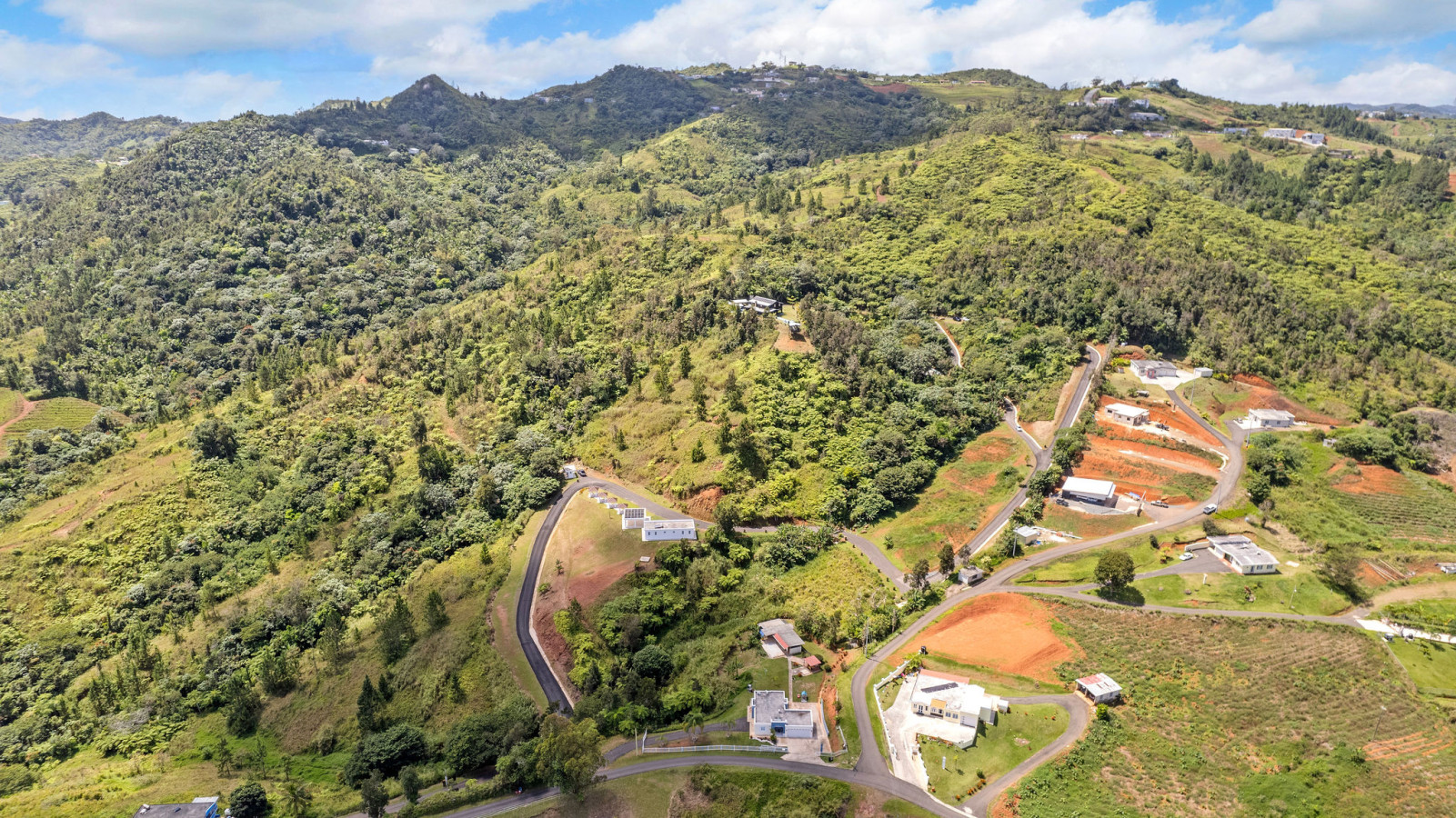DJI_0797.jpg