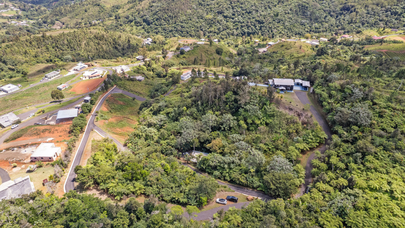 DJI_0791.jpg