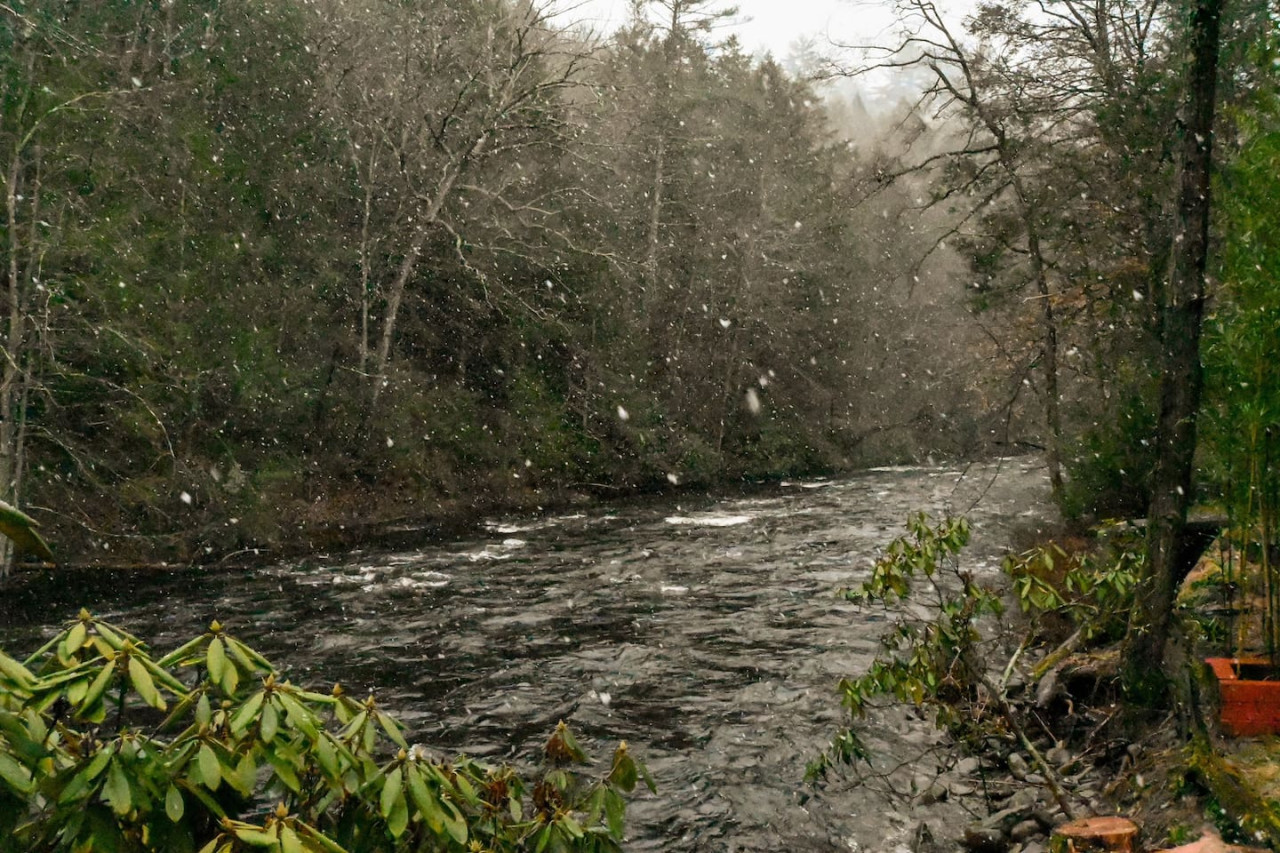 Heaven's Cabin At The Creek