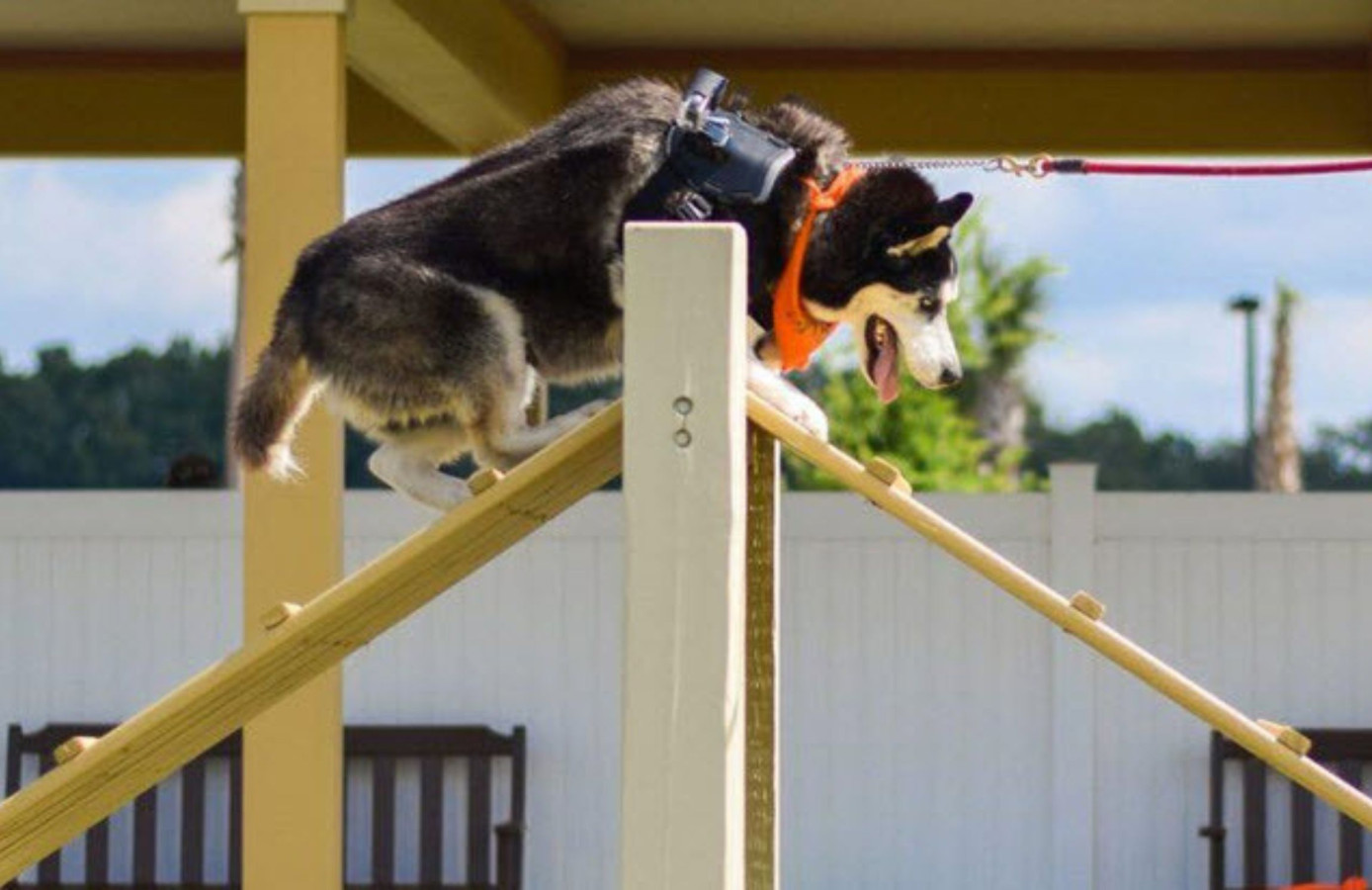 Thumbnail 40