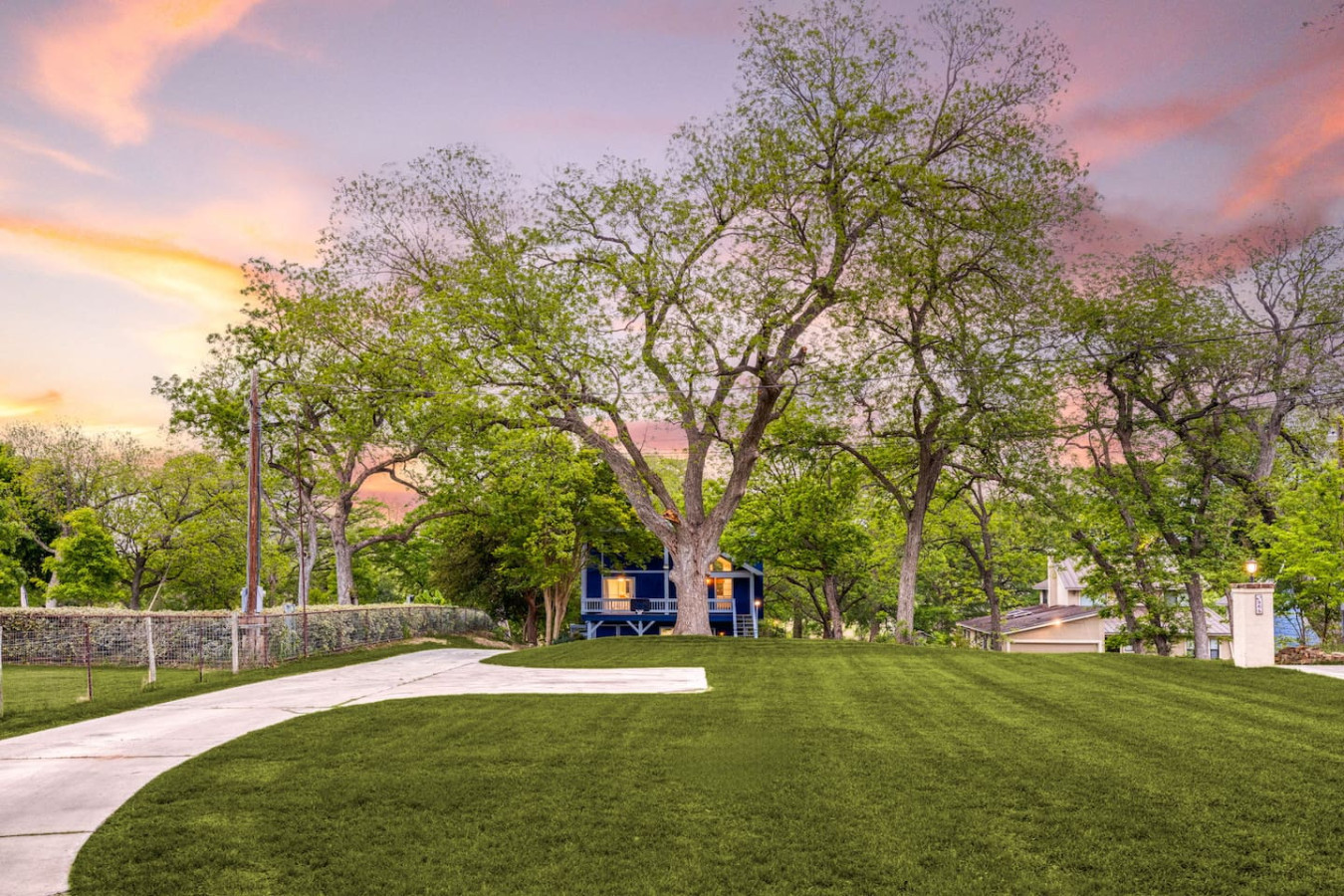 Blue Heron's Nest photo 54