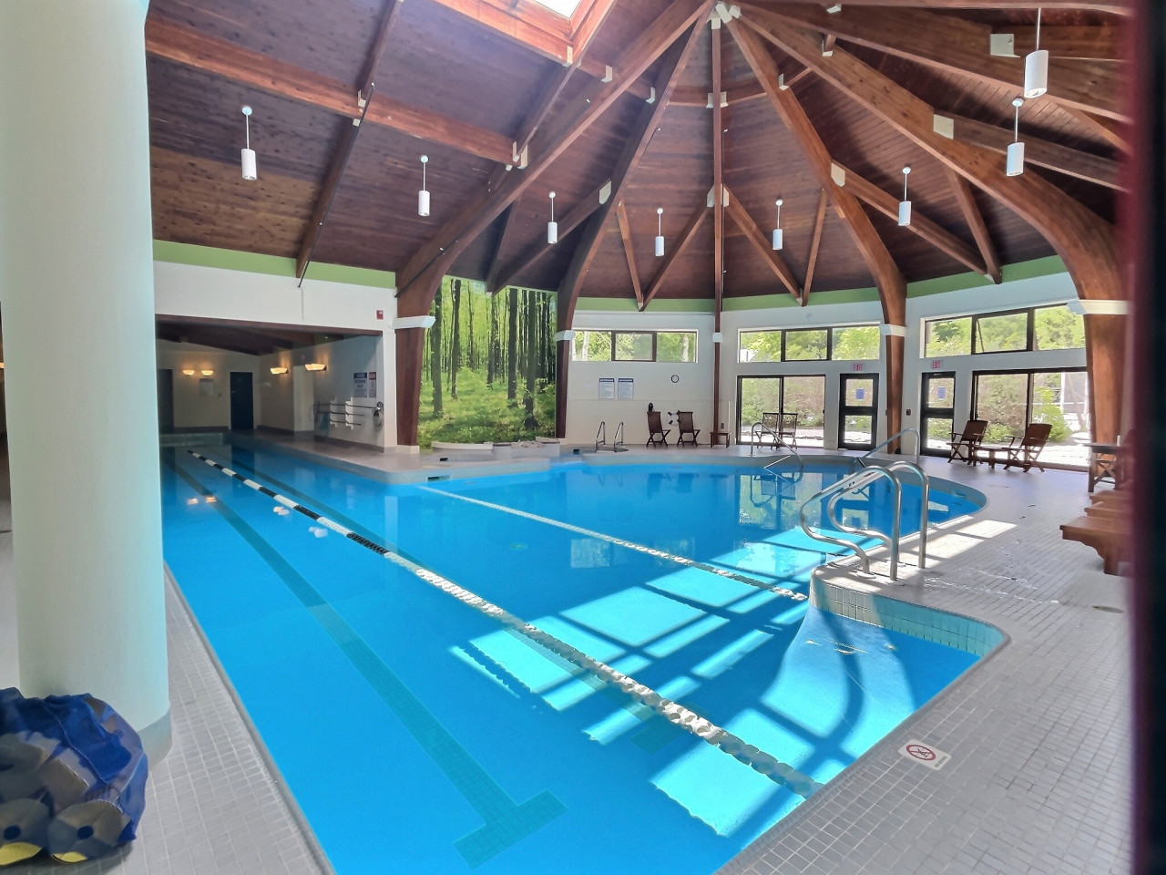 Birch Hollow- Pool, Hot tub, Gym, Sauna! 3