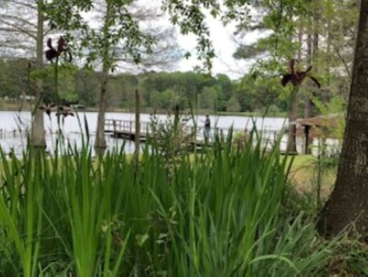 Castaway Camp