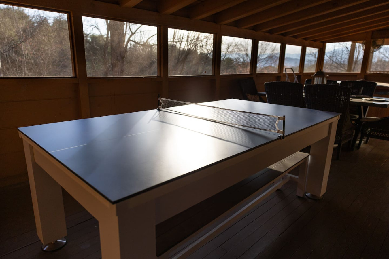 What's up Doc?  - Mountain View! - Image 4