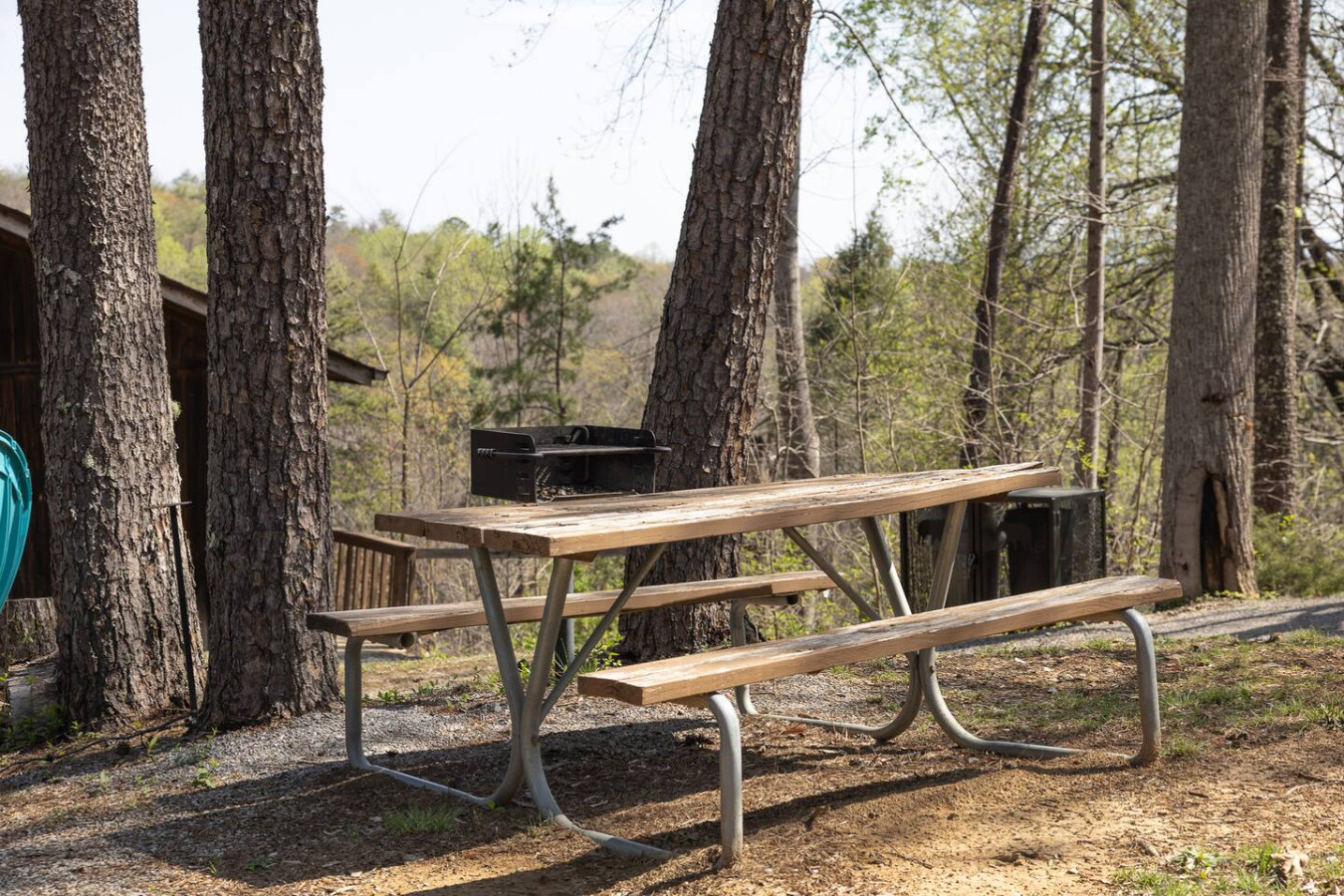 Pet Friendly Cabin w/ Mountain View & Pool Access! - Image 5