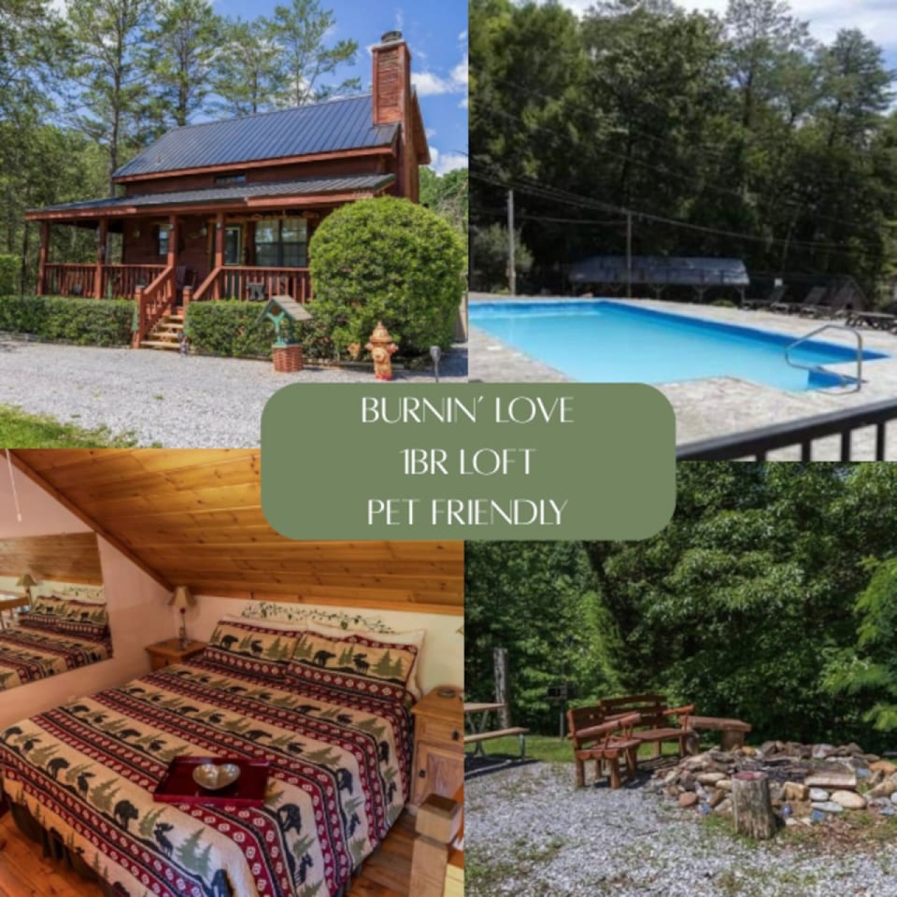 Cozy Pet Friendly Cabin! Hot tub, Pool & Lake!